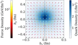 Illuminating the proton’s inner workings