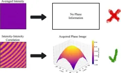 Images hidden in noise revealed by a quantum-inspired method