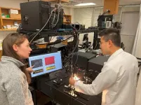 Imaging advance poised to provide new insights into reproduction and infertility