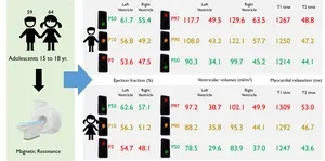 Imaging the adolescent heart 2