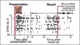 Imagining a face reactivates face-detecting neurons in humans