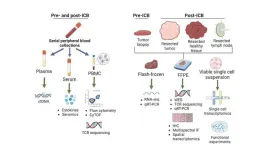 Immune checkpoint blockade prior to surgery promising in multiple cancer types