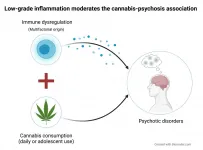 Immune system dysfunction can modify the association between cannabis use and psychosis