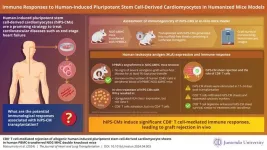 Immunogenicity of human-induced pluripotent stem cell-derived cardiomyocyte sheets