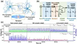 Implement artificial neural network hardware systems by stacking them like neuron-synapse-neuron structural blocks