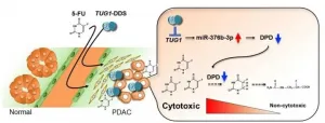 Improving survival in pancreatic cancer