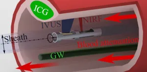 Improving the accuracy of near-infrared fluorescence in cardiovascular imaging