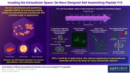 In a supramolecular realm: Advances in intracellular spaces with de novo designed peptide