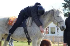 In animal assisted therapy, horses may aid the treatment of patients with substance use disorders by boosting mood and quality of life