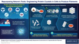 In-cell nano-3D printer: Synthesizing stable filaments from in-cell protein crystals