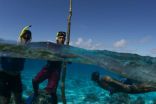 In Fiji, marine protection gets local boost