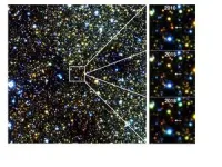 In search of muons: Why they switch sites in antiferromagnetic oxides 3