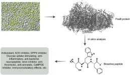 In silico assessment of photosystem I P700 chlorophyll a apoprotein A2 (PsaB) from Chlorella vulgaris (green microalga) as a source of bioactive peptides