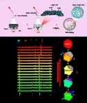 In situ characterization reveals different dehydrogenation pathways in MgH2