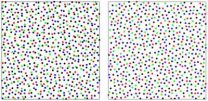 In the eye of a chicken, a new state of matter comes into view 3