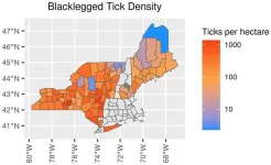 In the Northeast, 50% of adult ticks carry Lyme disease carrying bacteria