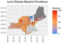 In the Northeast, 50% of adult ticks carry Lyme disease carrying bacteria 2