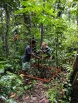 In wake of powerful cyclone, remarkable recovery of Pacific island’s forests 2