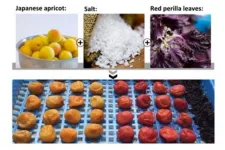 Increased antioxidants and phenolic compounds produced in salted red perilla leaves during Japanese apricot pickling