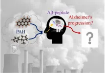 Increased risk of Alzheimers disease due to exposure to polycyclic aromatic hydrocarbons