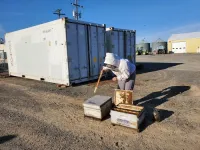 Indoor ‘queen banking’ could help beekeepers deal with changing climate