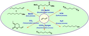 Industrially applied and relevant transformations of 1,3-butadiene using homogeneous catalysts