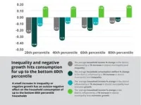 Inequality destroys the benefits of positive economic growth for the poor 2