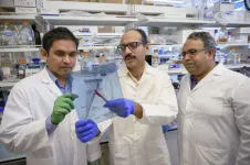 Inflammation-fighting protein could improve treatment of rheumatoid arthritis