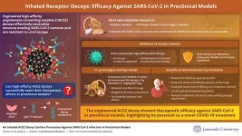 Inhaled receptor decoy therapy for COVID-19 in preclinical models