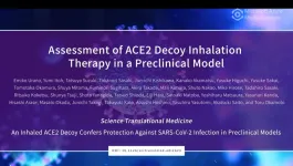 Inhaled receptor decoy therapy for COVID-19 in preclinical models 2