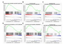 Inhibiting NLRP3 signaling in aging podocytes improves longevity