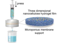 Injectable water filtration system could improve access to clean drinking water around the world