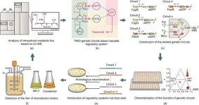 Innovative approach unveiled: Boosting terpenoid bioproduction via remodeling of isoprene pyrophosphate metabolism