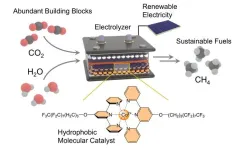 Innovative catalyst produces methane using electricity