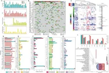 Innovative research on schistosomiasis-associated colorectal cancer (SA-CRC) yields unique insights into genetic mutations and treatment implications