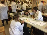 Innovative school Citizen Science project involving over 1000 scientists, 110 schools, 800 samples and U.K.’s synchrotron published in CrystEngComm