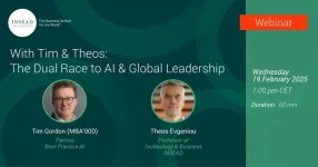 INSEAD webinar on the dual race to AI & global leadership