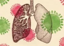 Inside the lungs, a new hope for protection against flu damage