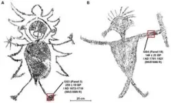 Insights from fully sequencing 43 human Y chromosomes 3