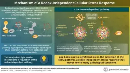 Insights into redox-independent cellular stress response