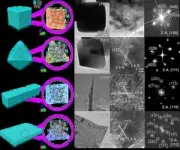 Insights into spinel cobalt oxides may lead to efficient ammonia synthesis 2