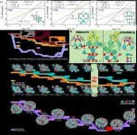 Insights into spinel cobalt oxides may lead to efficient ammonia synthesis 3