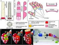 Integrated design fabrication and control of a bioinspired multimaterial soft robotic hand