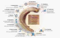 Integrating data from different experimental approaches into one model is challenging – this study presents a community-based, full-scale in silico model of the rat hippocampal CA1 region that integra