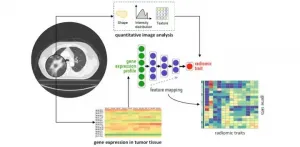 Integrating medical imaging and cancer biology with deep neural networks