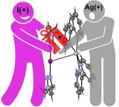 Interaction between iodonium and silver cation was demonstrated for the first time