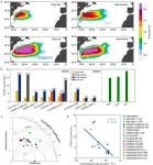 International research team discovers Gulf Stream thermal fronts controlling North Atlantic subtropical mode water formation 2