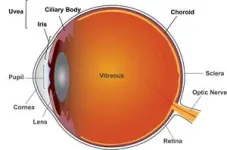 Intraocular corticosteroids best for treating complications of chronic inflammatory eye condition 2