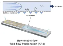 Investigating cell killers: Advanced system for size-dependent cytotoxicity analysis of silica