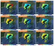 Investigating land subsidence in Japan through consecutive DInSAR and law of material conservation